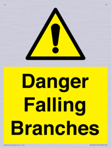Danger Falling Branches